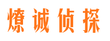 栖霞市侦探公司